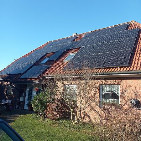 Haus Moewennest Apartment Gelting Exterior photo